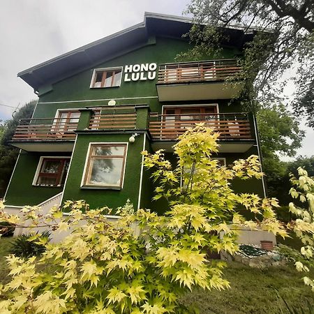 Willa Hono Lulu Busko-Zdrój Exterior foto